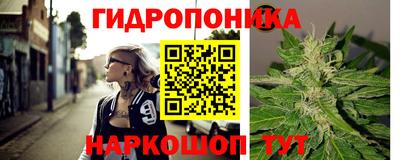 a pvp Ачхой-Мартан