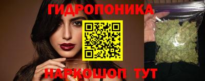 a pvp Ачхой-Мартан