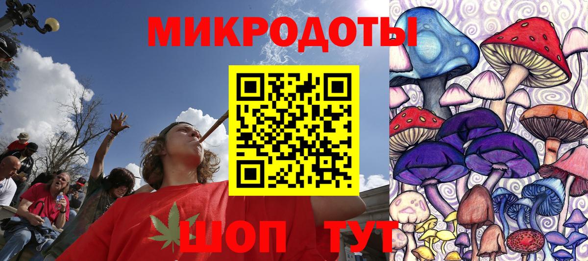 Вятские Поляны  Псилоцибиновые грибы MAGIC MUSHROOMS  Вход с VPN 
